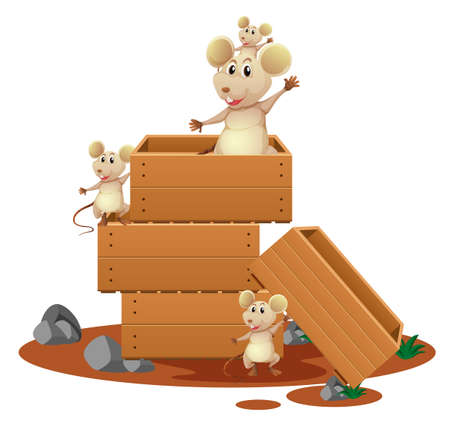 Many rats in wooden boxes illustrationのイラスト素材