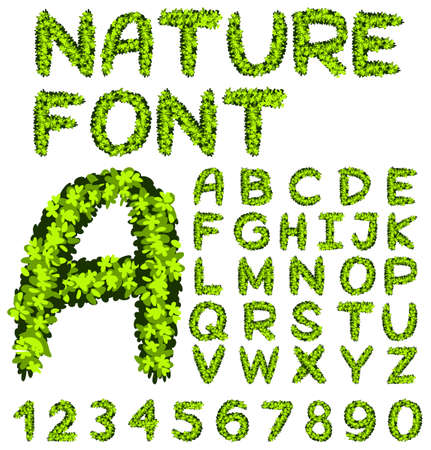 Font design for alphabets and numbers in green leaves illustrationのイラスト素材