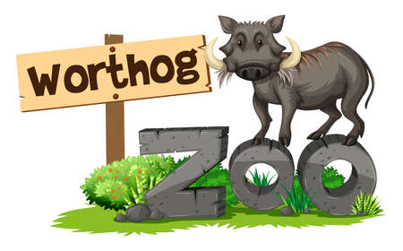 Worthog in the zoo illustrationのイラスト素材