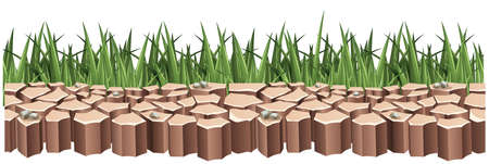 Dry land and green grass illustrationのイラスト素材