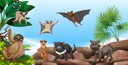 Wild animals on the mountain illustrationのイラスト素材