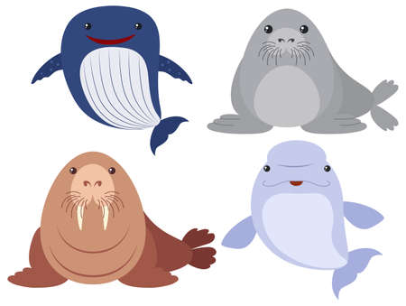 Sea animals on white background illustrationのイラスト素材
