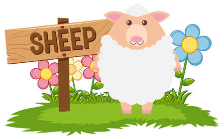 White sheep in the farm illustrationのイラスト素材