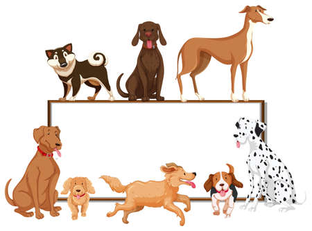 Many kinds of pet dogs on the board illustrationのイラスト素材