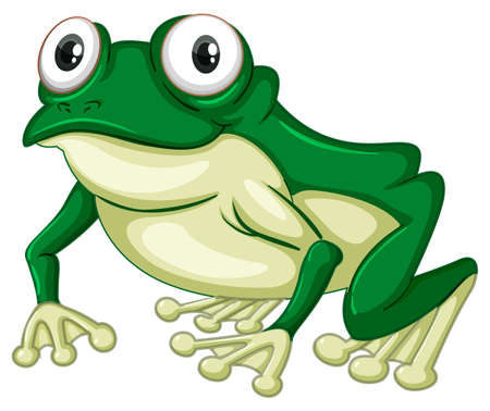 Green frog on white backgound illustrationのイラスト素材