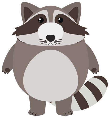 Cute raccoon on white background illustrationのイラスト素材