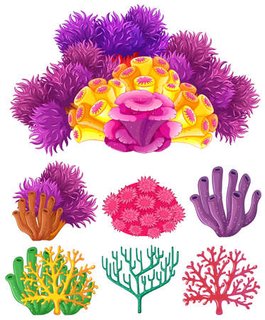 Coral reef on white background illustration.のイラスト素材