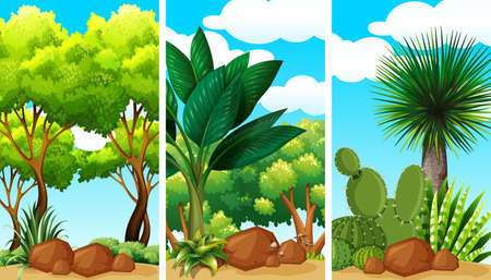 Garden scenes with plants and rocks illustration.のイラスト素材