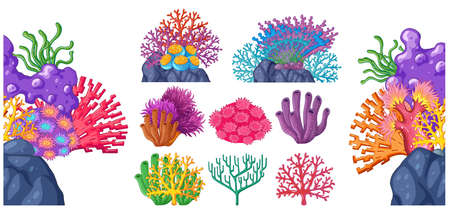 Different types of coral reef illustration.のイラスト素材