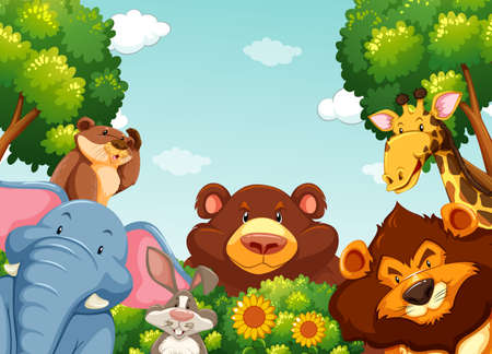 Wild animals in the forest illustrationのイラスト素材