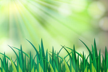 A Background scene with green grass illustrationのイラスト素材