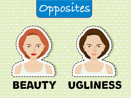 Opposite words for beauty and ugliness illustrationのイラスト素材