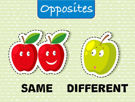 Opposite words for same and different with corresponding image sample vector illustrationのイラスト素材