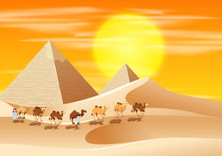 Camels walking across the desert illustrationのイラスト素材