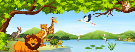 Various wild Animals scene illustrationのイラスト素材