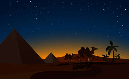 Pyramid and Camels in Desert night Scene illustrationのイラスト素材