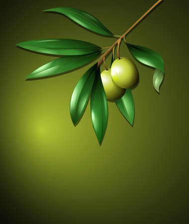 Olive and Tree on Green Background illustrationのイラスト素材