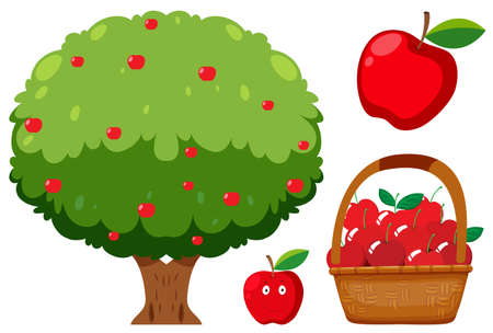 Apple Tree and Apple on White Background illustrationのイラスト素材