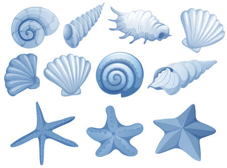 A Set of Blue Seashell illustrationのイラスト素材