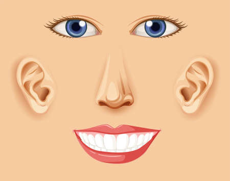 A Human Happy Facial Element  illustrationのイラスト素材