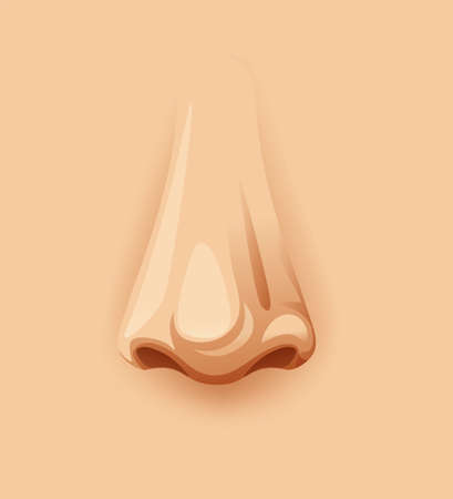 A Closeup Human Nose illustrationのイラスト素材
