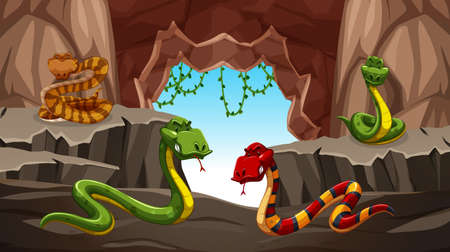 Dangerous snake in the cave illustrationのイラスト素材