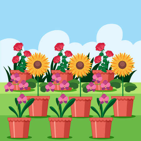 A Set of Flower in Pot illustrationのイラスト素材
