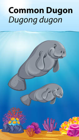 Common dugong in the ocean illustrationのイラスト素材