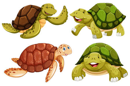 A set of sea turtle illustrationのイラスト素材