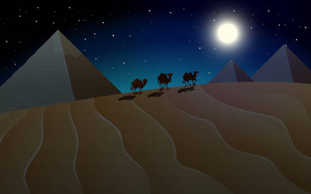 Pyramid and camel scene at night illustrationのイラスト素材