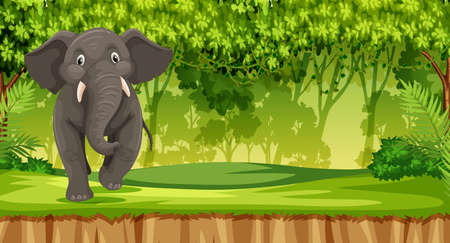 Eleplant in the jungle illustrationのイラスト素材