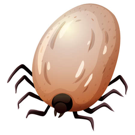 tick concept white background illustrationのイラスト素材