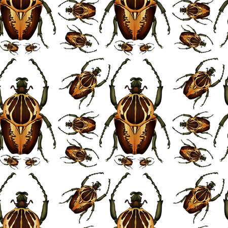 Beetle bug seamless pattern illustration