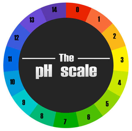 The ph scale circle illustrationのイラスト素材