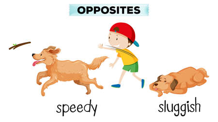 english vocabulary opposite word illustrationのイラスト素材