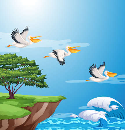 Pelican flying on sky illustrationのイラスト素材