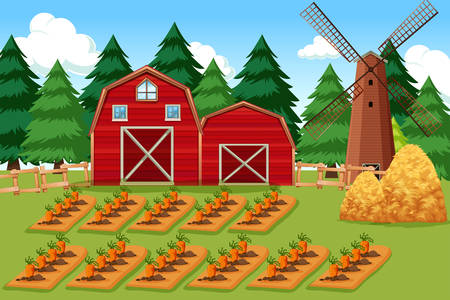 farm scene with carrots illustrationのイラスト素材