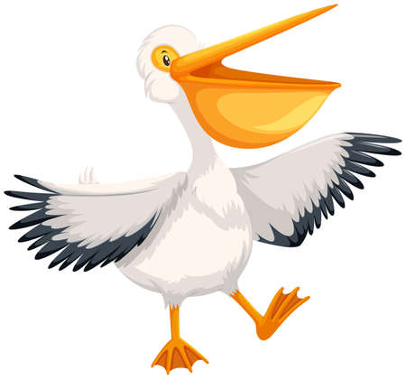 A happy pelican character illustrationのイラスト素材