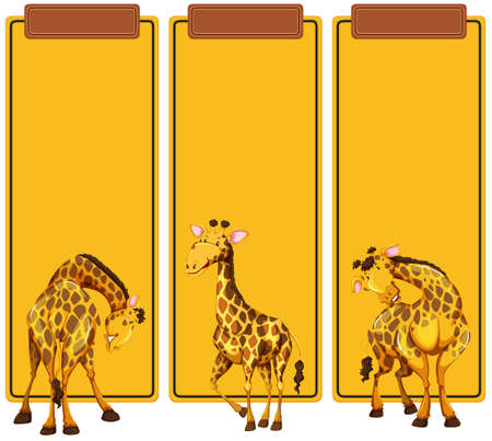 Different post of giraffe on banner illustrationのイラスト素材