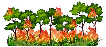 Isolated tree nature fire illustrationのイラスト素材