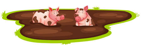 Pig playing in mud illustrationのイラスト素材