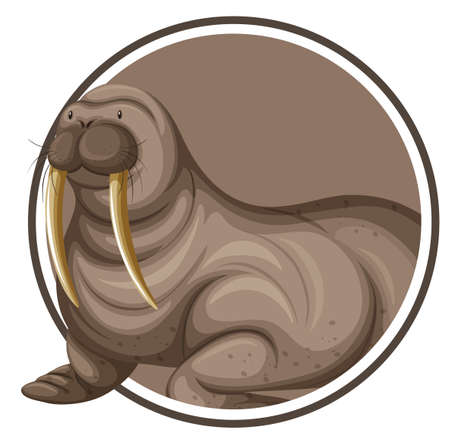 A walrus on circle banner illustrationのイラスト素材