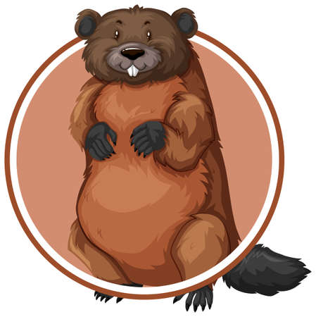 Beaver in circle banner illustrationのイラスト素材