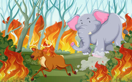 Animals run away from wildfire illustrationのイラスト素材