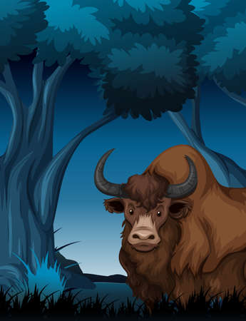 Yak in the dark forest illustrationのイラスト素材