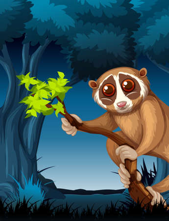 A loris in dark forest illustrationのイラスト素材