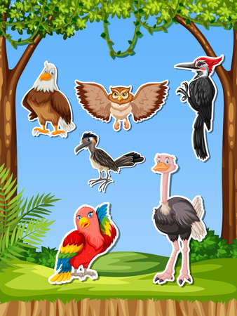 Set of different bird sticker illustrationのイラスト素材