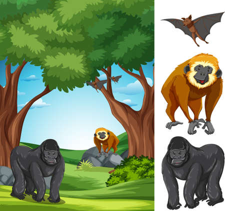 Ape in the nature landscape illustrationのイラスト素材