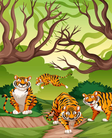 Tigers in jungle scene illustrationのイラスト素材