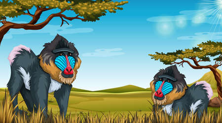 Mandrill in nature scene illustrationのイラスト素材